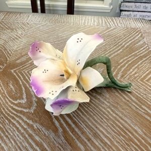 Capodimonte porcelain iris